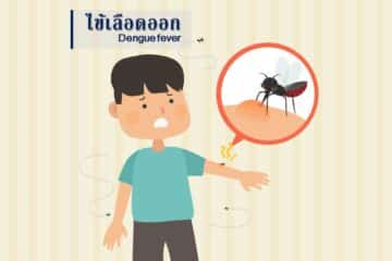 อาการไข้เลือดออก